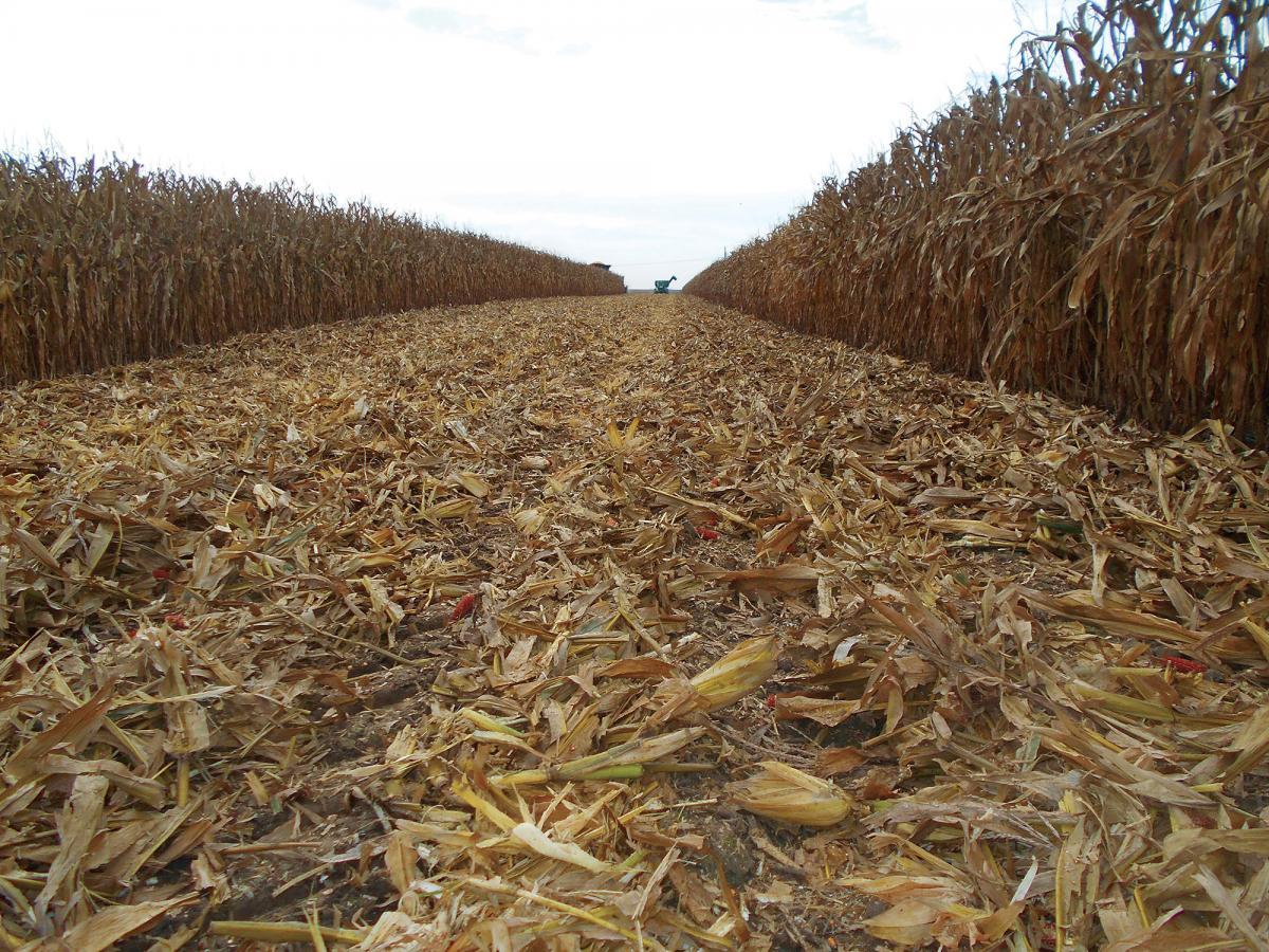 Yetter 5000 Stalk Devastator