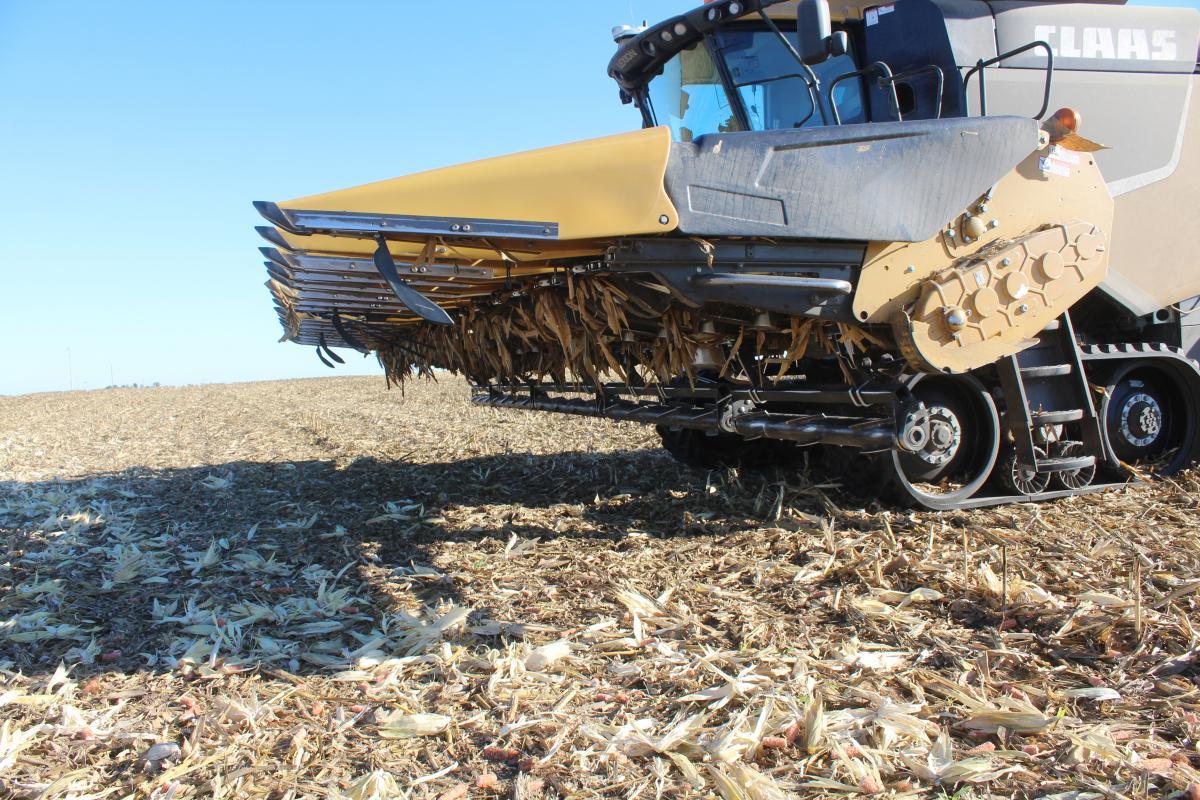 Yetter 5000 Stalk Devastator