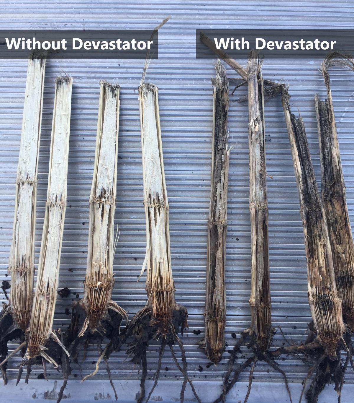 Yetter 5000 Stalk Devastator