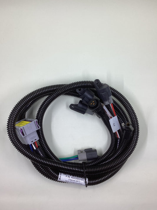 Ag Leader 4003953-6 Generic Raven Cable- L2 (6ft)